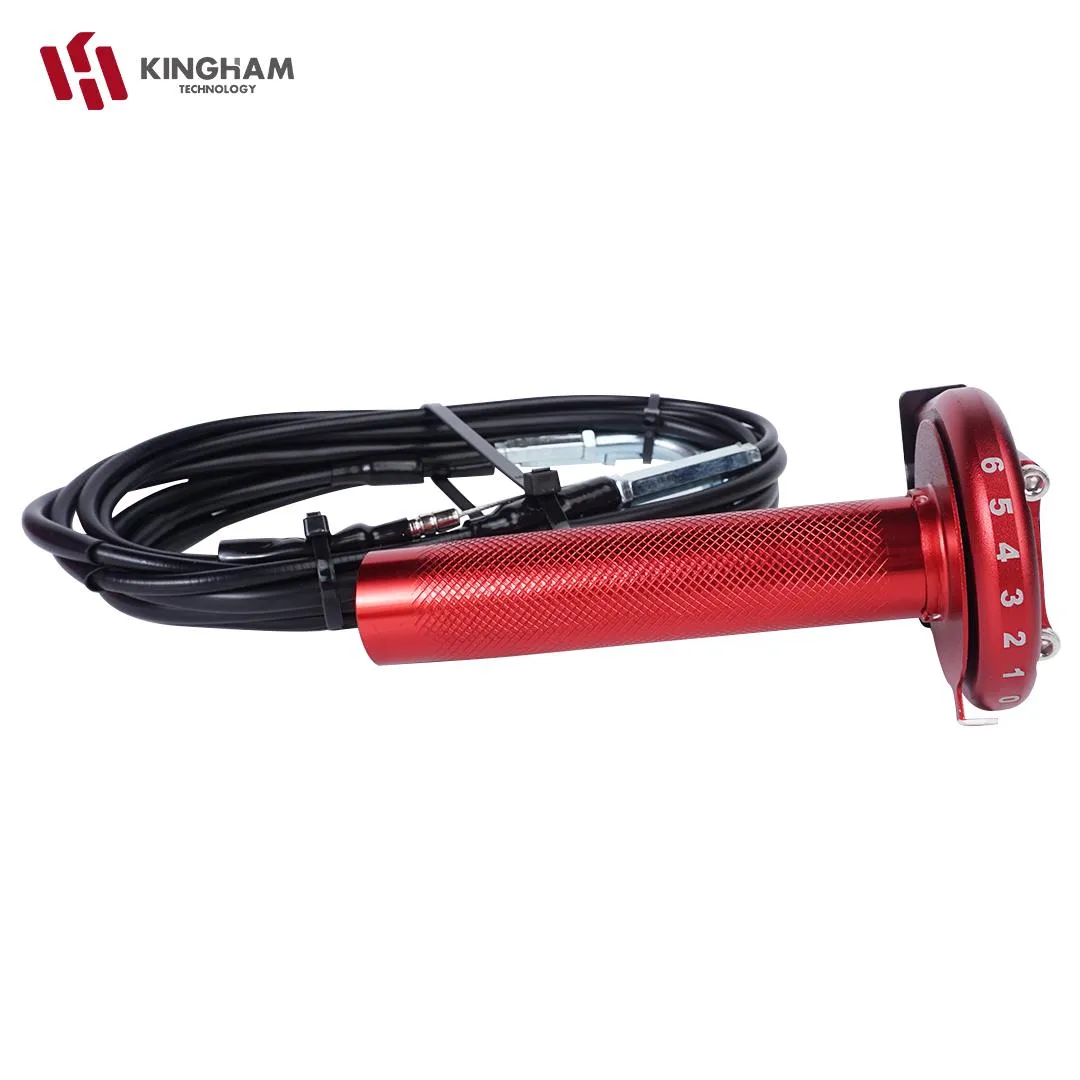 Motorcycle Throttle (2)